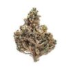 Alien cookies