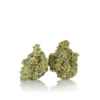 Gorilla Glue
